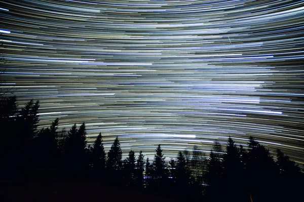 Sentieri Stellari Nel Cielo Notturno Nella Foresta Dei Carpazi — Foto Stock