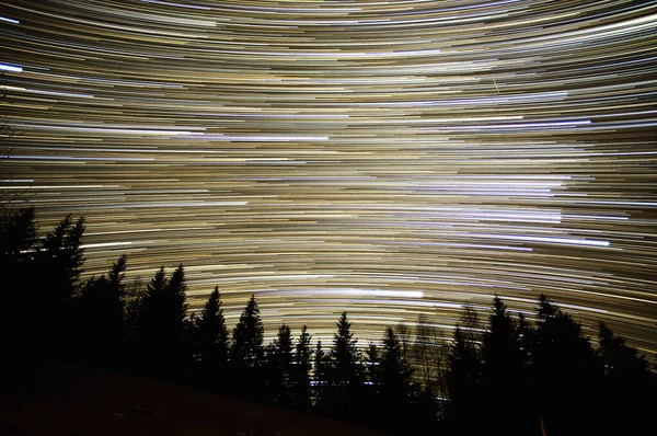 Gece Gökyüzünde Yıldız Izleri Karpatlar Ormanlarında — Stok fotoğraf
