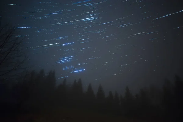 Hvězdné Stezky Noční Obloze Lese Karpatech — Stock fotografie