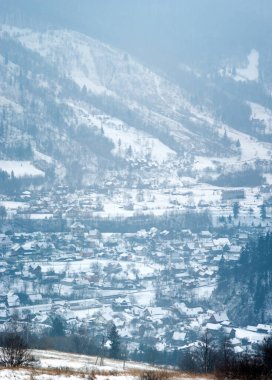 Karpatya dağlarındaki bir köyün panoraması bulutlu bir günde