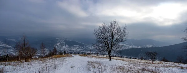 Karpatya Dağlarında Kışın Bulutlu Karlı Bir Gün — Stok fotoğraf