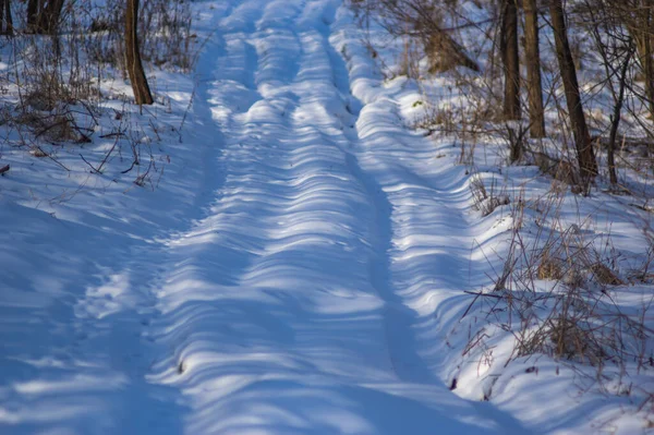 Besneeuwde Onverharde Weg Het Winterbos — Stockfoto