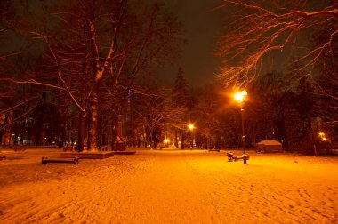 Geceleri bir şehir parkında banklar var.