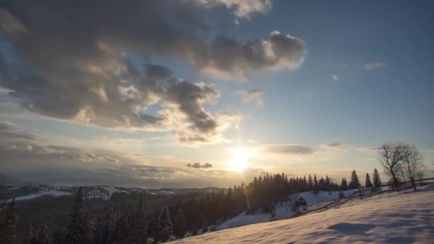 Solnedgång Vintern Karpaterna Ukraina Högkvalitativ Film — Stockvideo