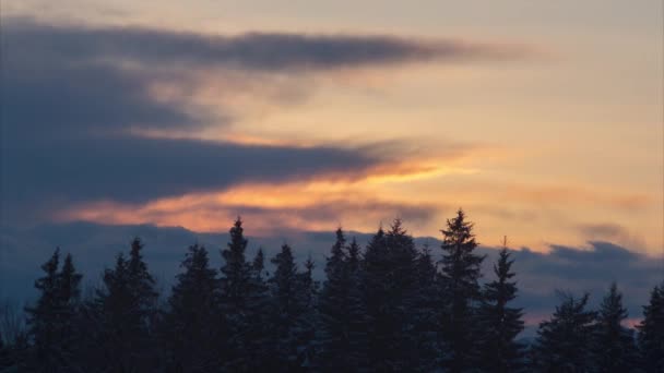Χειμερινό Δάσος Στο Χιόνι Στο Φόντο Του Ηλιοβασιλέματος Στα Βουνά — Αρχείο Βίντεο