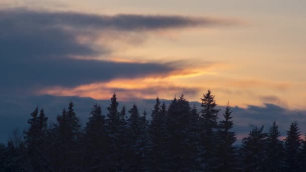 Winterwald Schnee Vor Dem Hintergrund Des Sonnenuntergangs Den Bergen Hochwertiges — Stockvideo