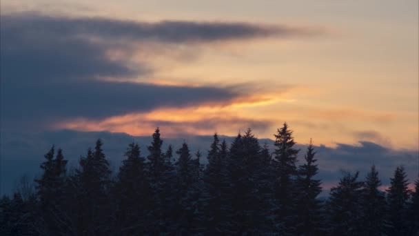 Winterwald Schnee Vor Dem Hintergrund Des Sonnenuntergangs Den Bergen Hochwertiges — Stockvideo