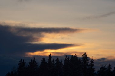 Kışın ağaçların siluetleri Karpat dağlarında gün batımında bulutların arka planına karşı