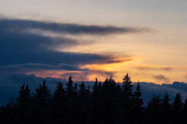 Silhuetter Träd Vintern Karpaterna Mot Bakgrund Moln Vid Solnedgången — Stockfoto