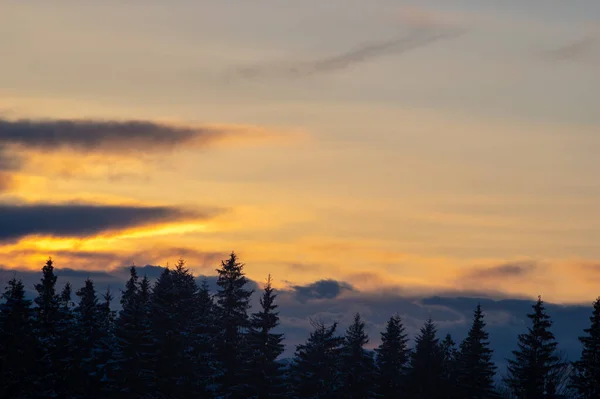 Silhuetter Träd Vintern Karpaterna Mot Bakgrund Moln Vid Solnedgången — Stockfoto