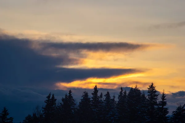 Silhuetter Träd Vintern Karpaterna Mot Bakgrund Moln Vid Solnedgången — Stockfoto