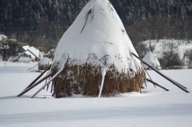 Karpatya dağlarında karların altında saman yığını