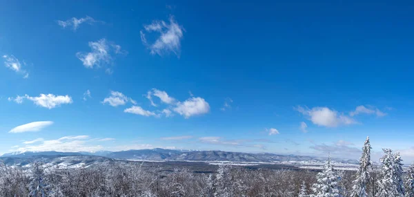 Beautiful Panorama Carpathian Mountains Winter — Stock Photo, Image