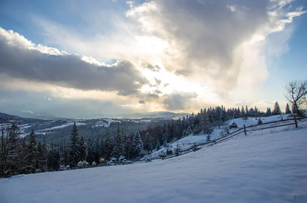 Hermoso Panorama Las Montañas Cárpatas Invierno Atardecer — Foto de Stock