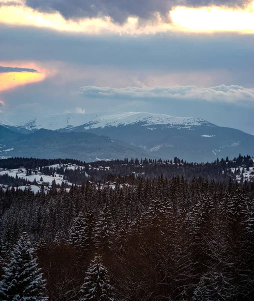 Vinterskog Efter Snöfall Karpaterna — Stockfoto