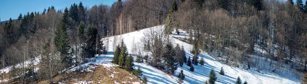 Zimowy Las Opadach Śniegu Karpatach — Zdjęcie stockowe