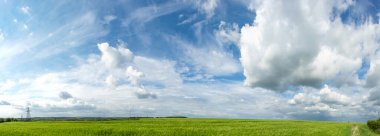 Ukrayna 'da bir buğday tarlasının manzarası güzel bir gökyüzü ve bulutun arka planına karşı.