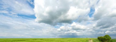 Ukrayna 'da bir buğday tarlasının manzarası güzel bir gökyüzü ve bulutun arka planına karşı.
