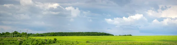 Campo Trigo Ucrânia Contra Fundo Céu Nuvens — Fotografia de Stock