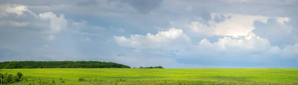 Campo Trigo Ucrania Fondo Del Cielo Las Nubes — Foto de Stock