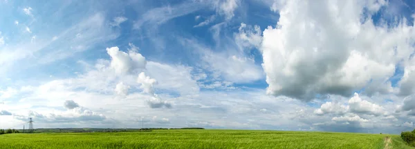 在美丽的天空和云彩衬托下的乌克兰麦田全景 图库图片