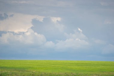 Güzel bir gökyüzünün arka planında buğday tarlası