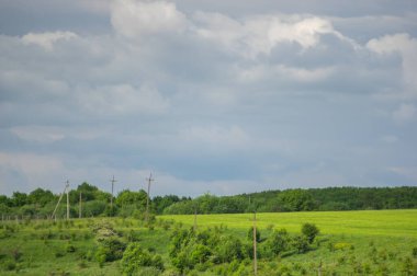 Güzel bir gökyüzünün arka planında buğday tarlası
