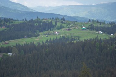 Ukrayna 'daki Karpatlar' ın güzel bahar manzarası