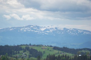 Ukrayna 'daki Karpatlar' ın güzel bahar manzarası