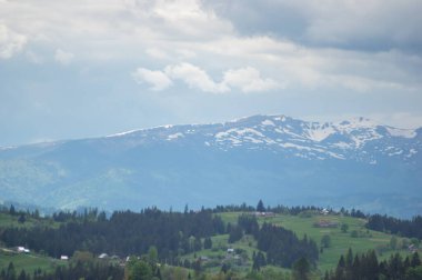 Ukrayna 'daki Karpatlar' ın güzel bahar manzarası