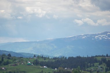 Ukrayna 'daki Karpatlar' ın güzel bahar manzarası