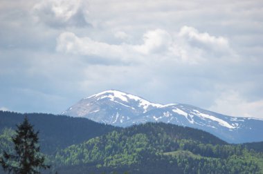 Ukrayna 'daki Karpatlar' ın güzel bahar manzarası