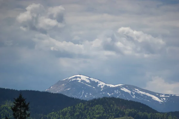 Belo Panorama Primavera Das Montanhas Dos Cárpatos Ucrânia — Fotografia de Stock