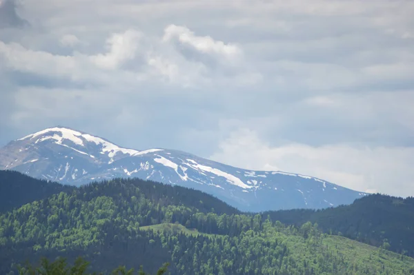 Prachtige Lente Panorama Van Karpaten Oekraïne — Stockfoto