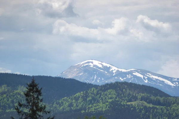 Belo Panorama Primavera Das Montanhas Dos Cárpatos Ucrânia — Fotografia de Stock