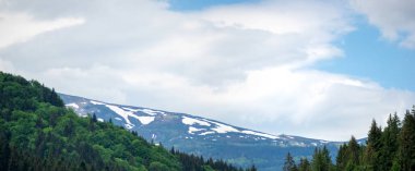Yazın yeşil ormanın arka planında karla kaplı Karpatlar, güzel bir manzara.