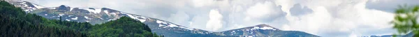 Montañas Los Cárpatos Nevadas Sobre Fondo Bosque Verde Verano Hermoso — Foto de Stock