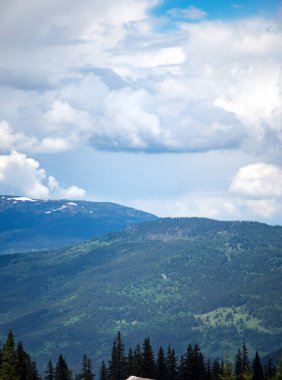 Karpat Dağları 'nın güzel manzarası Yazın kar ve sislerin içinde