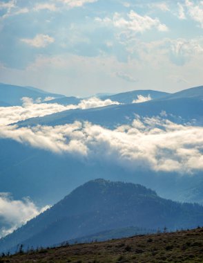 Güneşli tepeler ve Ukrayna Karpatları 'nda sis. Yaz dağı manzarası.