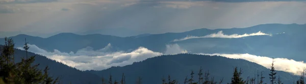 Панорама Карпатських Гір Туманну Літню Погоду — стокове фото