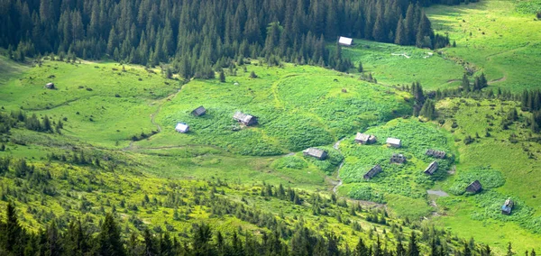 Панорама Горного Луга Голубое Небо Облака Вид Горы Путешествия Отдых — стоковое фото