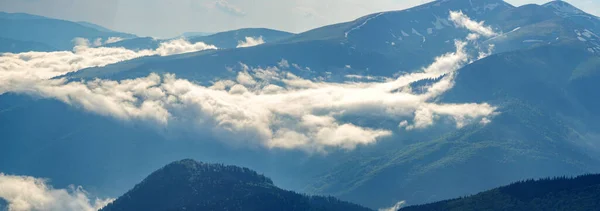 Waldhügel Der Sonne Und Nebel Den Ukrainischen Karpaten Sommerliche Berglandschaft — Stockfoto