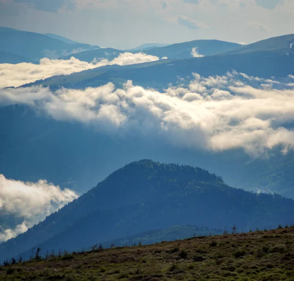 Hermoso Panorama Las Montañas Cárpatas Verano Neblina Niebla Después Lluvia — Foto de Stock