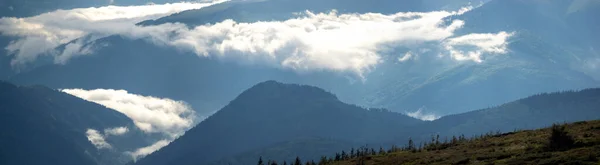 Belo Panorama Das Montanhas Dos Cárpatos Verão Neblina Neblina Após — Fotografia de Stock