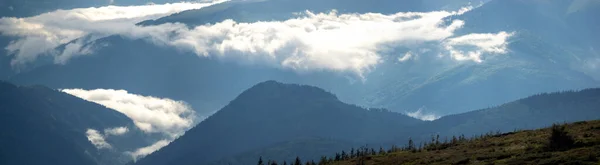 Hermoso Panorama Las Montañas Cárpatas Verano Neblina Niebla Después Lluvia —  Fotos de Stock