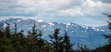 Yeşil bir ormanın arka planında karda bahar dağları. Ukrayna 'daki Karpatlar' ın güzel manzarası.