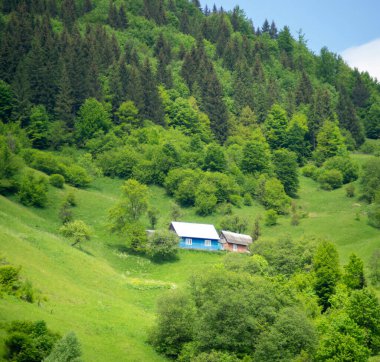 Karpatlar 'da dik bir dağ yamacında küçük bir ev yeşil ormanların arasında dinleniyor ve dağlarda seyahat ediyor, güzel bir manzara.
