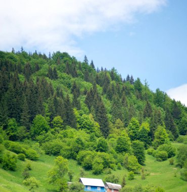 Karpatlar 'da dik bir dağ yamacında küçük bir ev yeşil ormanların arasında dinleniyor ve dağlarda seyahat ediyor, güzel bir manzara.