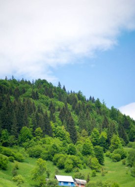 Yazın başında Ukrayna 'daki Karpat dağlarının manzarası, dinlenme ve dağlarda seyahat, güzel manzara.