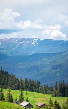 Yazın başında Ukrayna 'daki Karpat dağlarının manzarası, dinlenme ve dağlarda seyahat, güzel manzara.